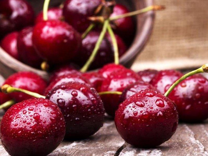 Вишня купить саженцы из питомника в Крымске